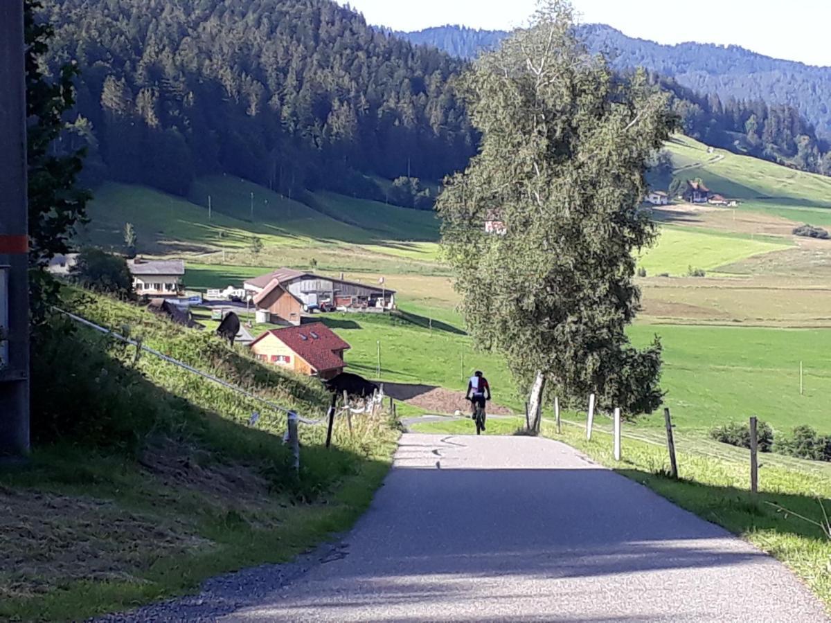 Gaestezimmer Im Dorfzentrum Hotel Rothenthurm Buitenkant foto